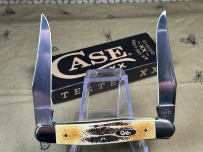 🔥NUEVO Estuche Hermoso Cuchillo de Bolsillo Rata Almizclera Acero Inoxidable Antiguo Mango Bonestag 🔥 Foto 1 de 4