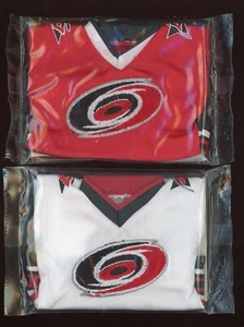 2006-07 UD Mini Jersey Collection Home & Away Jerseys #ES Eric Staal *S4941 - Picture 1 of 1