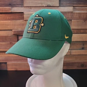 Nike Brockport Mütze Herren grün Riemen hinten Steinadler Dri Fit Legacy 91 Kappe - Bild 1 von 10