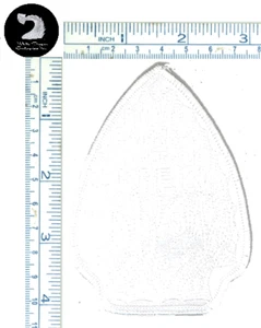 Boy Scout  OA Timuquan Lodge 340 1998 Arpeika Chapter Ghost Patch - Picture 1 of 1