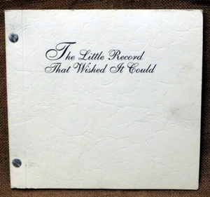 LIKE NEW: FLIES AMONG MAGGOTS 2 7" Little Record That Wished It Could SFTRI 45 - Picture 1 of 4