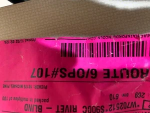 FORD 15 16 17 18 19 20 2 PIECES TRUCK CAB BACK PANEL RIVET BLIND OEM - Foto 1 di 1