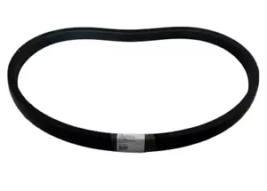 #336784 V-BELT- V-BELT, HM 8100 MM - HARVESTER PARTS CNH - Picture 1 of 1