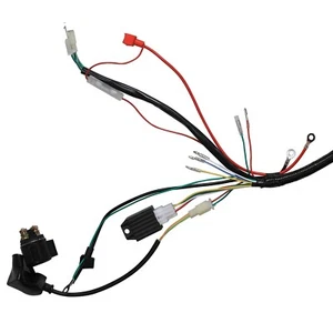CDI Wiring Harness Electrics Fr ATV QUAD 50/70/90/110/125cc 4Stroke Buggy GoKart - Picture 1 of 5