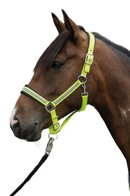 HKM Halfter -Reflective- Pony VB WB NEU