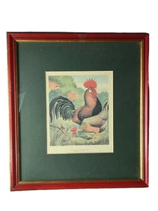Vintage Cassel’s Lithograph Rooster Art Framed 17"x 15.75" Lot Of 2 Farmhouse - Picture 1 of 8