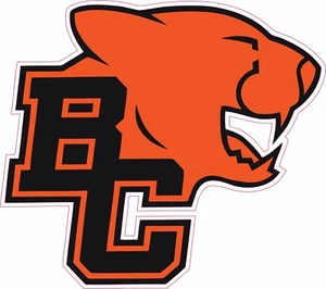 BC Lions 25 Side Full Size Football Helmet Decals - Picture 1 of 2