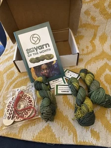Darn Good Yarn Silk Huntress Grove (3) + Soporte para Hilo de Muñeca Nuevo Verde - Imagen 1 de 11