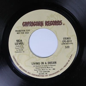 Unplayed Nm/Promo 45 Sea Level - Living In A Dream / Living In A Dream On Cap - Picture 1 of 2