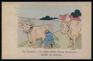 Arte Xavier Sager tema desnudo vaca amor glándulas mamarias humor tocado postal década de 1910 - Imagen 1 de 2