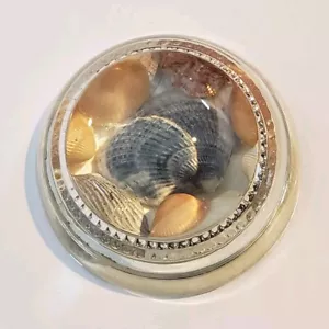 Fermacarte fotografico ritratto lutto vittoriano con conchiglie marine sigillate. Vintage. - Foto 1 di 8