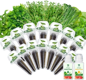14 Pods Gourmet Herb Seed Pod Kit for Aerogarden, with Basil, Parsley, Thyme, Mi - Picture 1 of 8