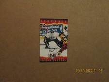 WCHL Fresno Falcons Vintage Defunct Circa 1996 1997 Team Logo Pocket Schedule