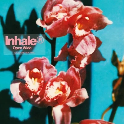 Inhaler Open Wide (Vinyl) 12" Album Coloured Vinyl (Limited Edition) - Image 1 of 2