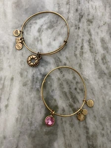 Alex and Ani Gold/Rose Charm Bracelets, Set Of 2 - Picture 1 of 3