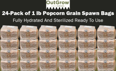 Paquete de 24 bolsas de grano de palomitas de maíz esterilizadas - bolsas de 1 lb con puertos de inyección Foto 1 de 4