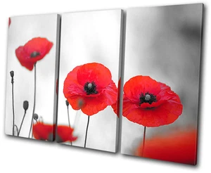 Floral Poppy Field Flowers TREBLE CANVAS WALL ART Picture Print VA - Picture 1 of 1