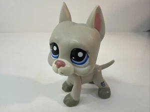 Littlest Pet Shop 1688 LPS Auténtico Gris Gran Danés Perro Ojos Azules - Imagen 1 de 9