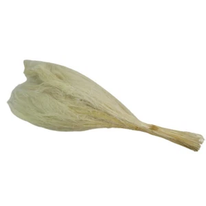 Barba De Bode Gr 200 Naturale Essiccata Stabilizzata Composizione - Imagen 1 de 1