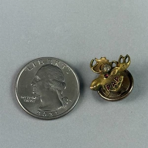 Vtg Loyal Order Of The Moose PAP Purity Aid Progress Stones Screw Back Pin 54731 - Picture 1 of 4
