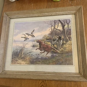 Arte pictórico enmarcado vintage."PATOS SALVAJES + PERROS DE CAZA ¡Muy bonito aspecto!  - Imagen 1 de 11