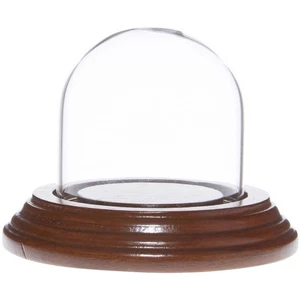 Plymor 2" x 2" Mini Glass Display Dome Cloche (Walnut Veneer Base) - Picture 1 of 1