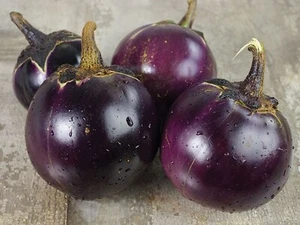 Thai Round Eggplant Seeds 50+ Asian Vegetable Heirloom NON-GMO USA FREE S&H - Picture 1 of 1