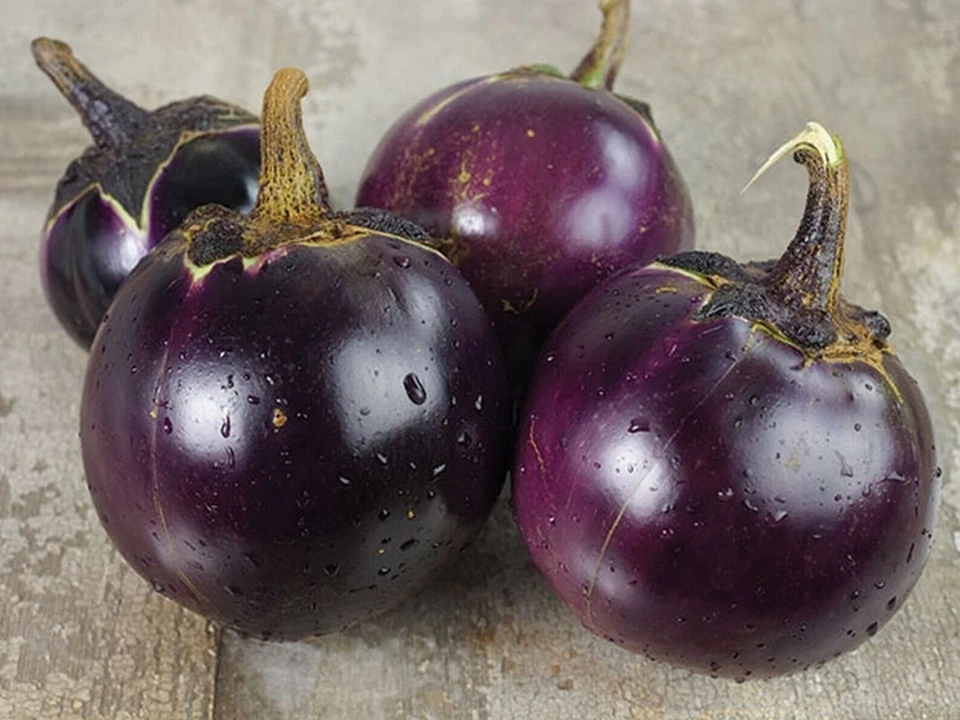Thai Round Eggplant Seeds 50+ Asian Vegetable Heirloom NON-GMO USA FREE S&H - Image 1 of 1