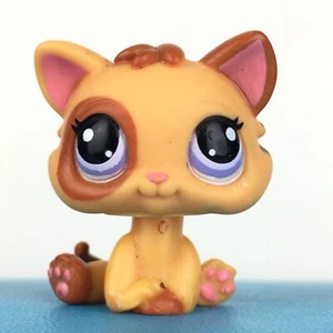 Authentic Littlest Pet Shop #2414 Cat Baby Kitten Kitty / Original Hasbro LPS - Picture 1 of 3