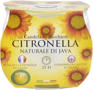 Citronella Jar Candle Insect-Repellent Scented Wax in Glass for Garden & Outdoor - Picture 1 of 1