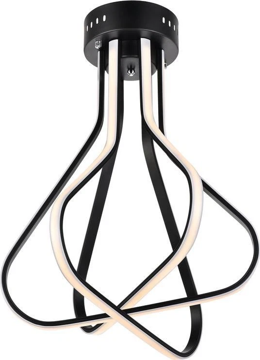 Black Dahlia Flush Mount Ceiling Light-LED, UL-Listed - Image 1 of 1