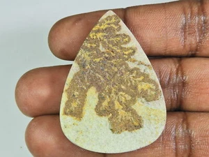 Piedra preciosa suelta cabujón pera dendrita germana natural psilomelano 33X45 mm i645 - Imagen 1 de 9