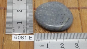 CORAIL BLEU de superbe qualité pierre plate - mineraux lithotherapie collection - Picture 1 of 1