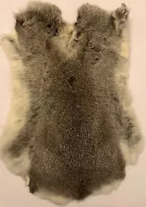 Großes Kaninchenfell Hasenfell Chinchilla Silber 50 cm ! Flauschig und Weich ! - Bild 1 von 1