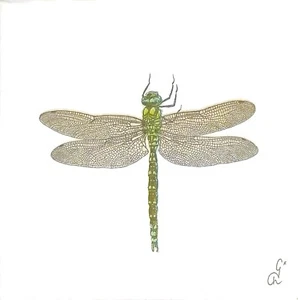 S715# 3 einzelne KLEINE Papierservietten für Decoupage grün grau Libelle Insekt - Bild 1 von 4