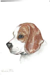 ACEO Original Aquarell Gemälde 2,5" x 3,5" Beagle Welpe Hund Haustier Porträt - Bild 1 von 1