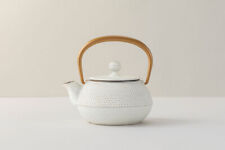 IWACHU Kyusu Teapot Nambu Tekki "Alaré" design white (10.8oz)