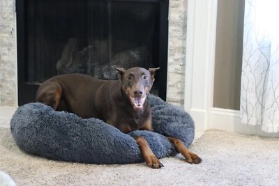 PuppyzZz Calming Dog Bed,  Soft, Comfortable & Stress Relieving, Best Sleep Ever - Image 1 of 4