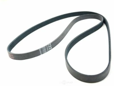 For 2011-2016 Chrysler Town & Country Multi Rib Belt Mopar 44941NR 2012 2013 - Image 1 of 2