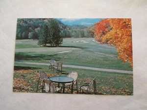 Virginia Postcard The Homestead Hot Springs VA - Picture 1 of 2