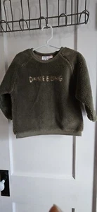 Zara Suéter Felpa Gruesa "DANEBORG" Verde Niño Unisex 2-3 Años CM 98 - Imagen 1 de 11
