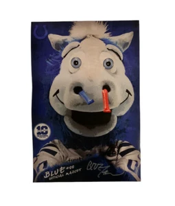 Indianapolis Colts Blue #00 Official Mascot Poster SIGNED 18” x 12” Football NFL - Picture 1 of 8