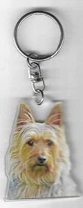 SILKY TERRIER CHIEN DOOR CLES / DOGS K.FOB - Picture 1 of 2
