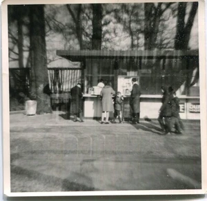 Orig. Foto BERLIN Alfred u. Cornelius am Würstchenstand im ZOO 1967 - Bild 1 von 1