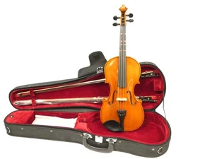 Samuel Eastman VL80 4/4 Violin Outfit – 2016 - Bow & Case, Excellent Condition - Picture 1 of 14