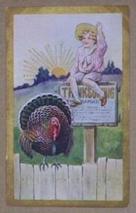 UNMAILED THANKSGIVING POSTCARD, TURKEY ON FENCE, BOY SITTING ON SIGN - Picture 1 of 1