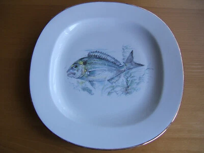 Teller Fischteller Tognana Goldrand Porzellan 25 cm Durchmesser - Bild 1 von 2