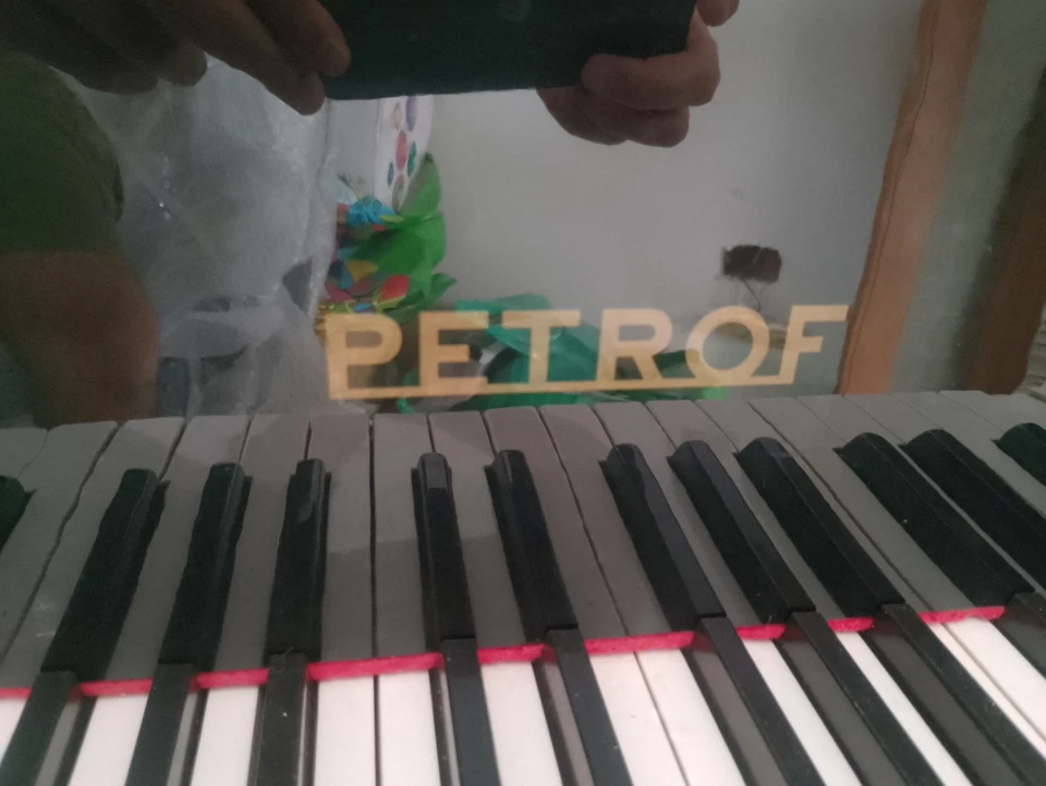 pianoforte a coda usato - Immagine 1 di 4