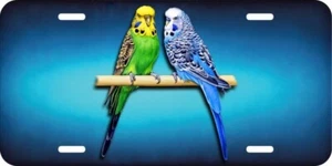 Two Parakeets Parrot Bird On Branch Aluminum Car Vanity Plate Tag LP723 - Picture 1 of 2