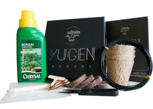 Essential Bonsai Growing Kit | Grow Bonsai Trees | Perfect for Beginners - Picture 1 of 5